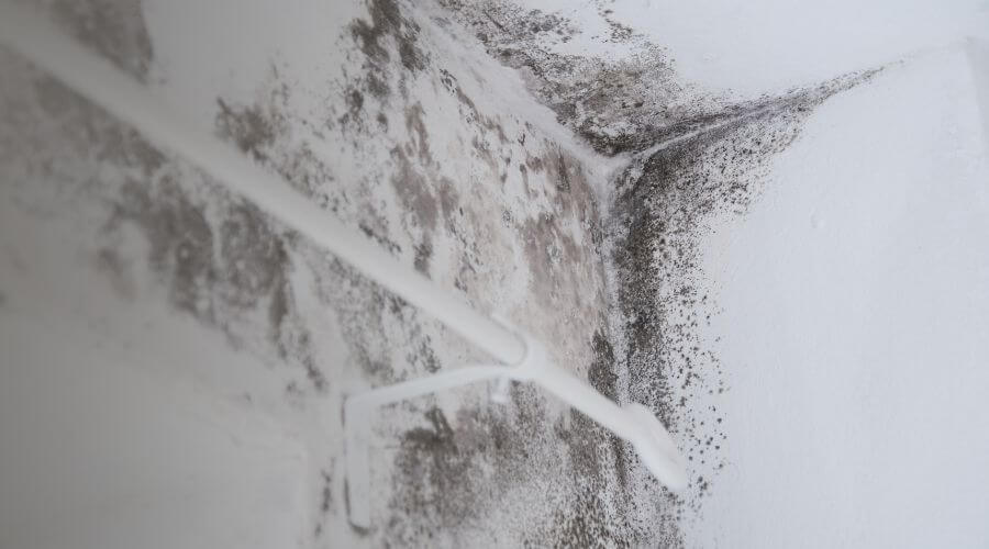 Why choose Safe Damage Response for water damage restoration in Brentwood